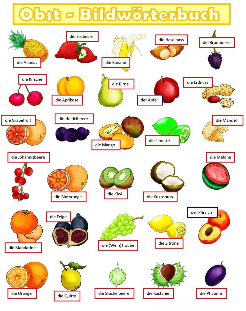 میوه ها به آلمانی